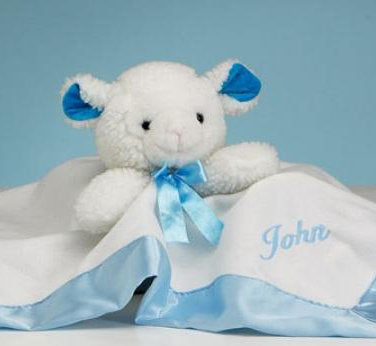 Baby Boy Lamb Cuddly